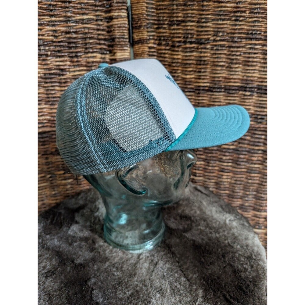 Patagonia Hoofin' It Interstate Trucker Hat Teal Women's Men's Hiking Gorpcore - Picture 4 of 12